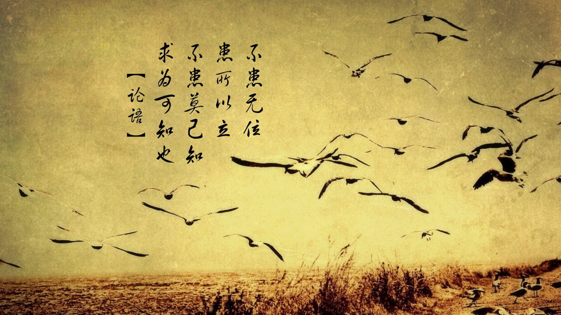 中国青少年篮球发展基金会启动“篮球梦想”公益项目,全国青少年篮球俱乐部比赛