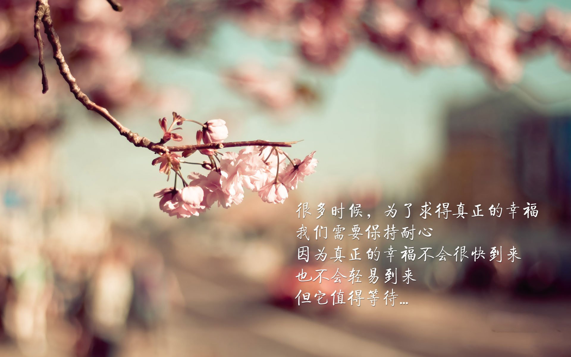 德甲新战术引领潮流，精彩片段层出不穷，德甲新赛季实力分析