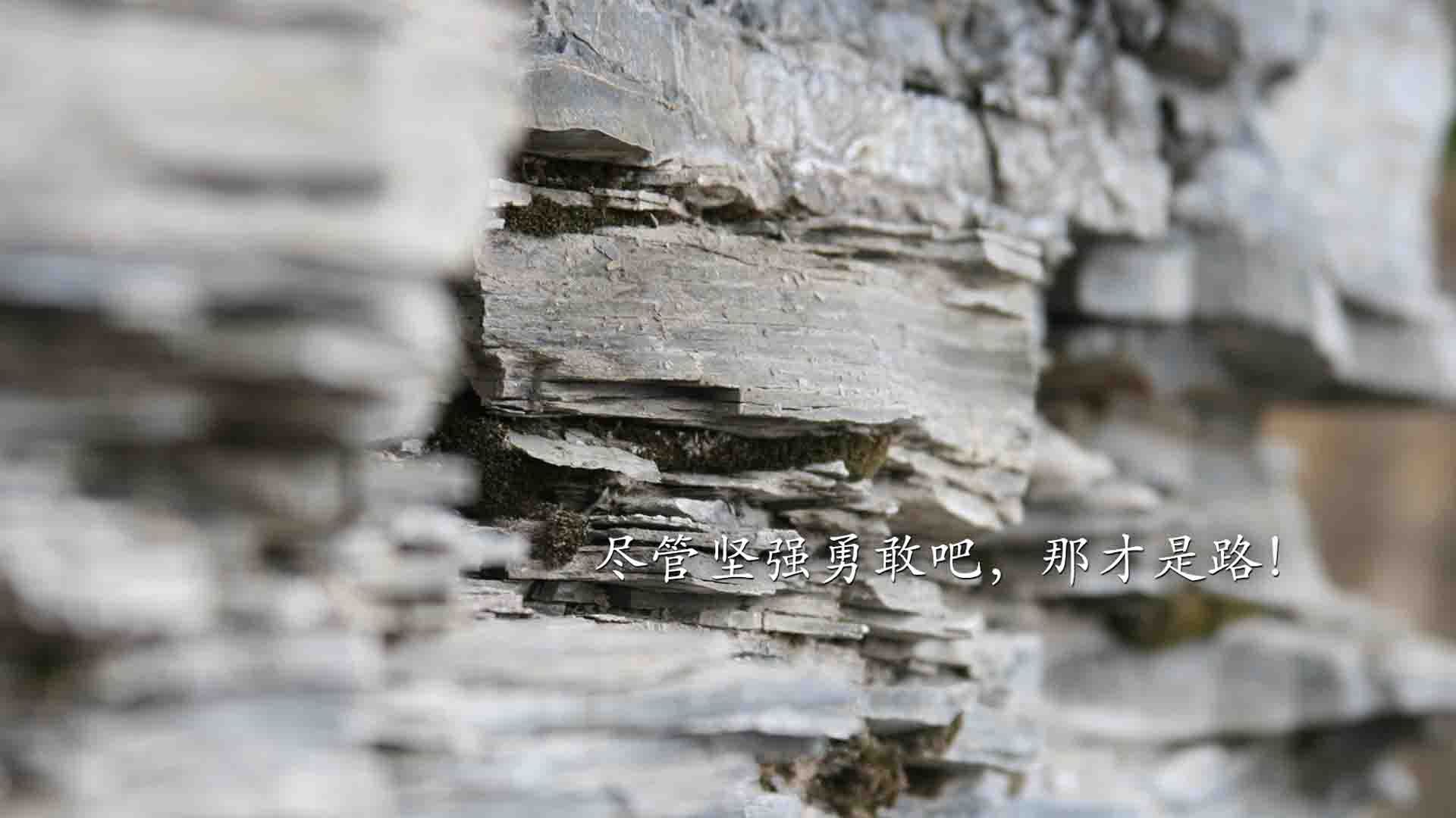 曼城2-1绝杀巴黎，欧冠四强候选提前锁定！，欧冠四强曼城vs巴黎23号