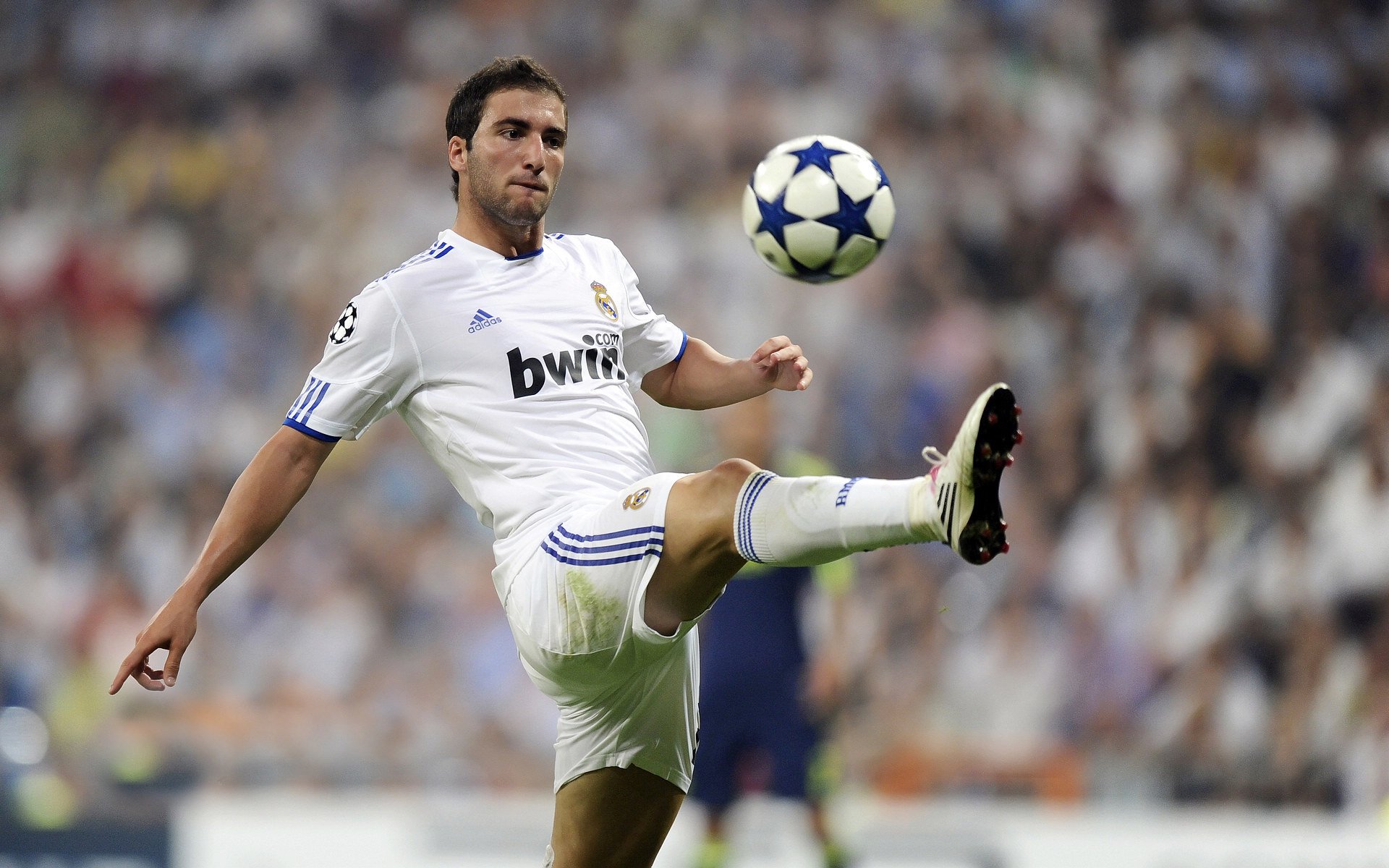 “亚戈·卡尔曼的全能表现，推动阿根廷美洲狮队创造更多辉煌”