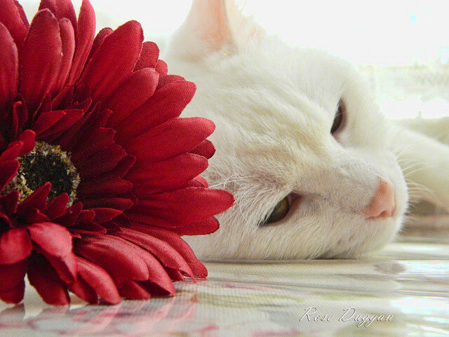 全国青少年“绿色运动”社区篮球赛在重庆持续火爆，倡导低碳生活