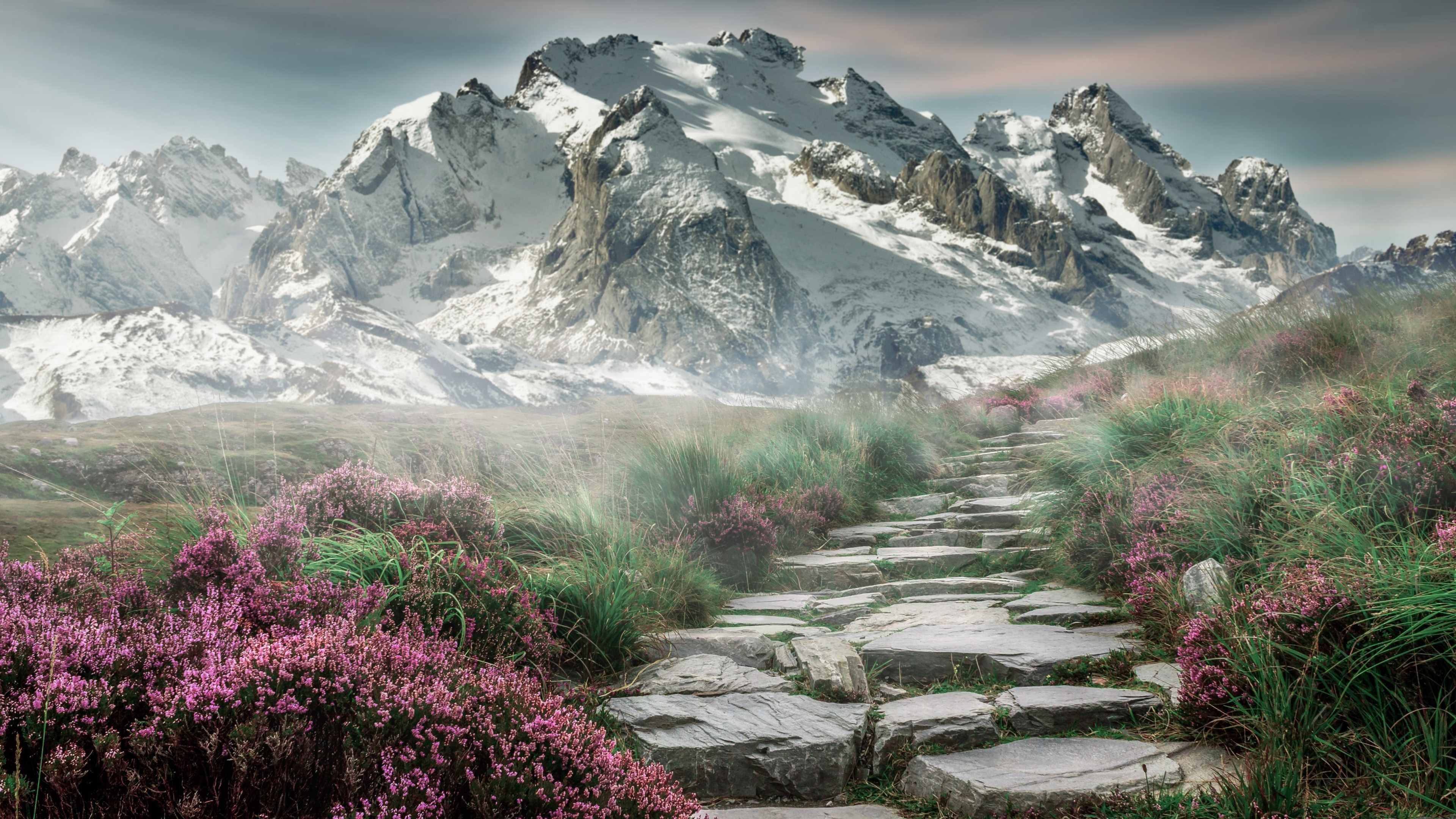 kaiyun开云·官方网站-全国青少年篮球技能大赛为新一代球员打开领跑之门，2020全国青少年篮球锦标赛